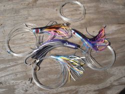 Longline fishing research on the NOAA Ship OSCAR ELTON SETTE Image