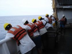 Longline fishing research on the NOAA Ship OSCAR ELTON SETTE Image