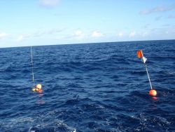 Longline fishing research on the NOAA Ship OSCAR ELTON SETTE Image