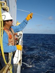 Longline fishing research on the NOAA Ship OSCAR ELTON SETTE Image