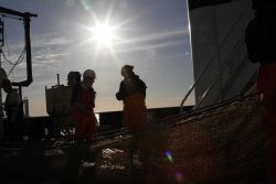 Silhouette of scientists inspecting biota picked out of trawl net. Image