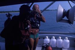 Artificial grass scuba team Image