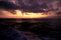 A sunset at sea Image