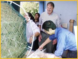 Algae spores being added to the 
