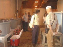 Aquaculture researchers observe the circular plastic tank system at the Florida Stock Enhancement Research Facility. Image