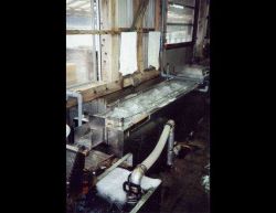 Depuration process for food oysters used in Japanese oyster processing plant Image