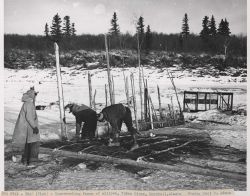 Fish trap Image