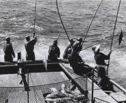 Live bait fishing for skipjack tuna aboard the Hawaiian sampan BUCCANEER Image