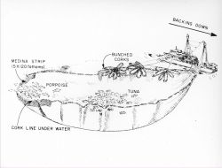 Diagram of method to save porpoise from accidental death in tuna nets. Image