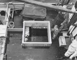 Deck view of fish hold on commercial salmon trolling boat. Image