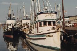 Salmon purse seiner JOYCELYN Image