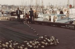 Repairing salmon nets Image