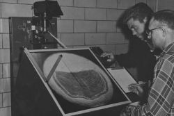 Determining age of shad from their scales to determine total age, age at first spawning, and number of times spawned. Image