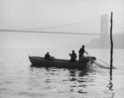 Shad fishing - hauling net over stern Image