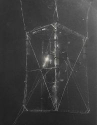 Diver biologist inside of shark cage Image