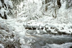 North Fork of the Little Butte River Image