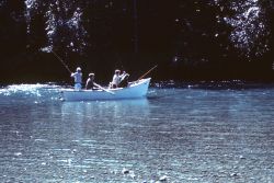 Drift fishing for steelhead on the Queets River Image