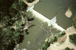 New fish ladders at the Wapato East Diversion Dam Image