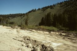 Area of destroyed wetland during highway construction. Image