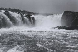 Willamette Falls from the fish ladder counting area Image