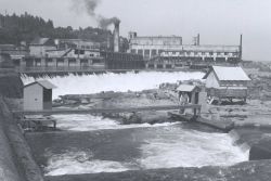 Willamette Falls Image