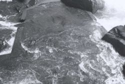 Willamette Falls fish ladder Image