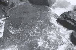 Willamette Falls fish ladder Image