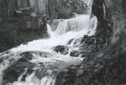 Looking up the fish ladder at Willamette Falls Image