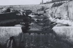 Looking up main stem of left ladder Image