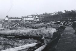 Logs on crest of falls with Publishers Plant in background at Willamette Falls. Image