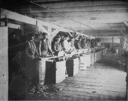 Cutting up fish for packing, Sandusky, OH. Image