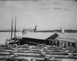 Codfish station, Southwest Harbor, ME. Image