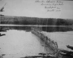 Atlantic salmon fishery, weir, Bucksport, ME, Worth, 1891. Image
