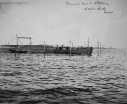 Pound net and steamer, Cape Cod, MA. Image