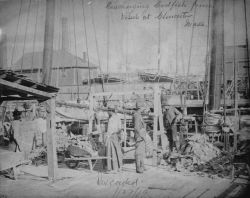 Discharging cod fish from vessel Gloucester, MA. Image