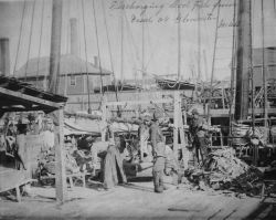 Discharging cod fish from vessel Gloucester, MA. Image