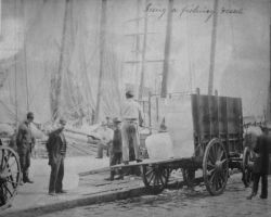 Icing a fishing vessel. Image