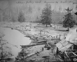 Indian fishing camp, Lummi Island, WA, 1895. Image