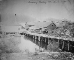 Cannery Image