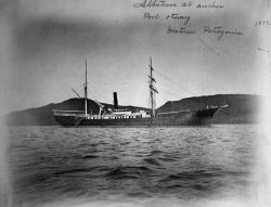 Albatross at anchor, Port Otway, western Patagonia, 1888. Image