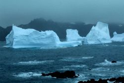 Icebergs on a foggy day. Image