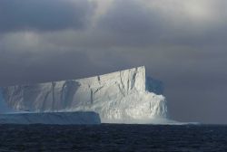 Iceberg, South Shetland Islands. Image