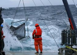 Deploying an IKMT net from the stern of the R/V Moana Wave. Image