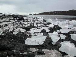 Ice melting on the shore of Admiralty Bay. Image