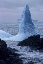 Iceberg, Seal Island, South Shetland Islands. Image