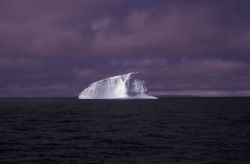 Iceberg, South Shetland Islands. Image