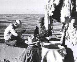 Hawaiian fishermen aboard the Hawaiian sampan BUCCANEER mend bait nets at sea while cruising on the fishing grounds Image