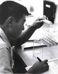 In the genetics laboratory, a technician checks the results of agglutination tests of the blood of fishes, in this instance skipjack tuna. Image