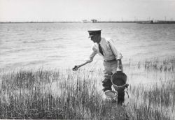 Captain Hatsell releasing baby terrapin in salt marsh Image