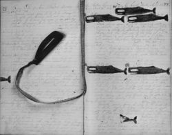 Whalers logbook indicating whales taken while cruising on the Western Ground in the North Atlantic Ocean in 1877? From the Bark OHIO, Captain Fred How Image